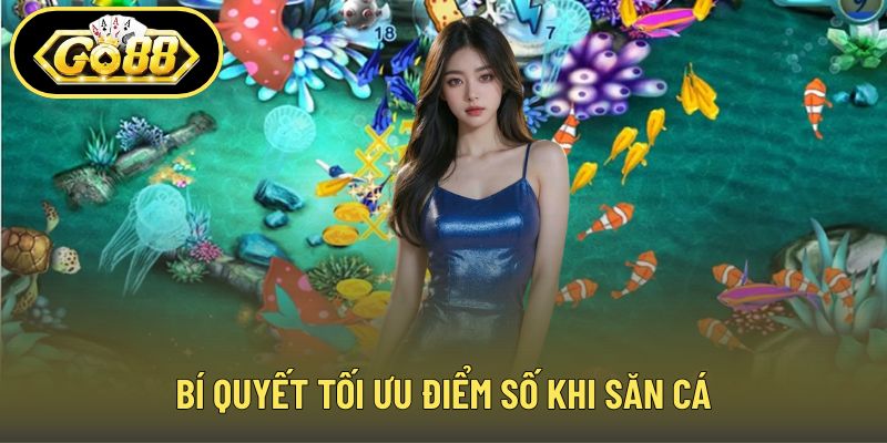 Bí quyết tối ưu điểm số khi săn cá