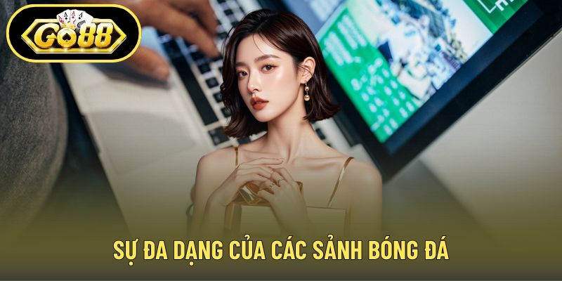 Sự đa dạng của các sảnh bóng đá